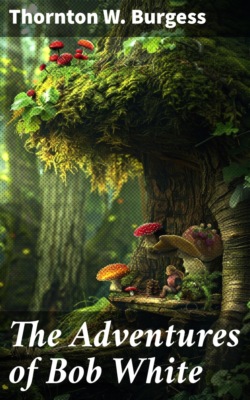 The Adventures of Bob White