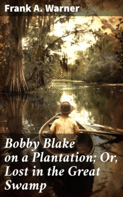 Bobby Blake on a Plantation; Or, Lost in the Great Swamp
