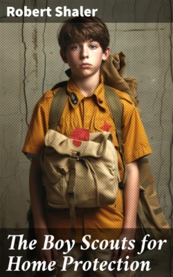 The Boy Scouts for Home Protection