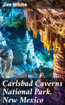 Carlsbad Caverns National Park, New Mexico