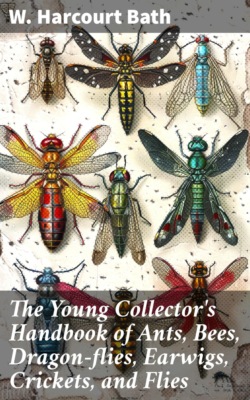 The Young Collector's Handbook of Ants, Bees, Dragon-flies, Earwigs, Crickets, and Flies