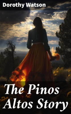 The Pinos Altos Story