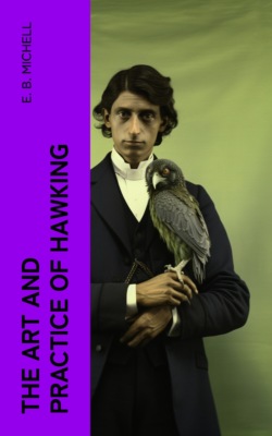 The Art and Practice of Hawking