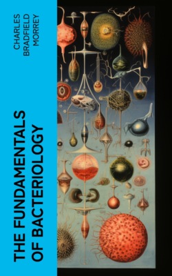 The Fundamentals of Bacteriology