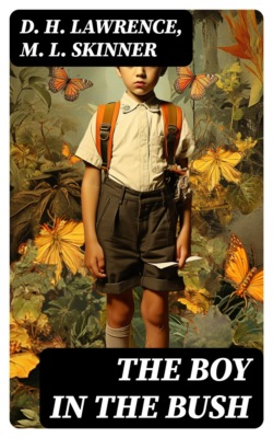 The Boy in the Bush