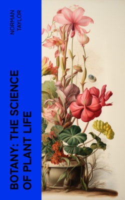 Botany: The Science of Plant Life