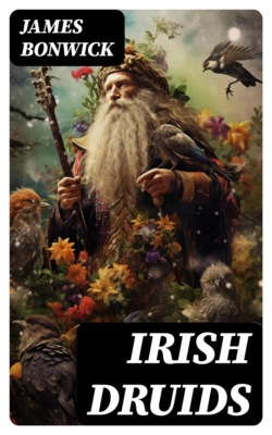 Irish Druids
