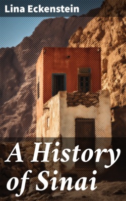 A History of Sinai