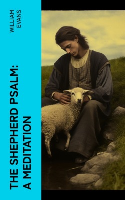 The Shepherd Psalm: A Meditation