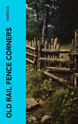 Old Rail Fence Corners