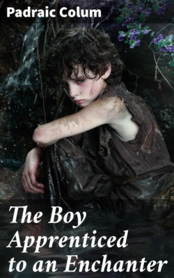 The Boy Apprenticed to an Enchanter