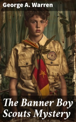 The Banner Boy Scouts Mystery