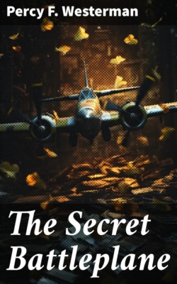 The Secret Battleplane