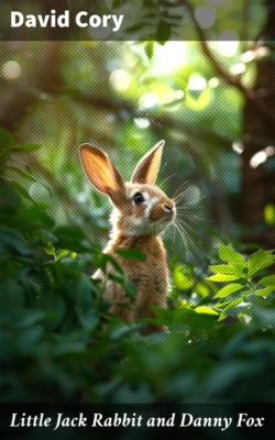 Little Jack Rabbit and Danny Fox