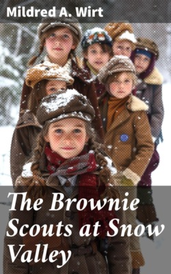 The Brownie Scouts at Snow Valley