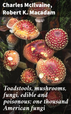 Toadstools, mushrooms, fungi, edible and poisonous; one thousand American fungi