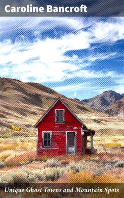 Unique Ghost Towns and Mountain Spots