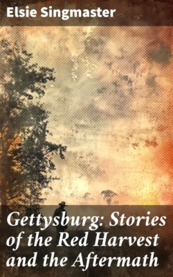 Gettysburg: Stories of the Red Harvest and the Aftermath