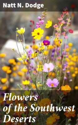 Flowers of the Southwest Deserts