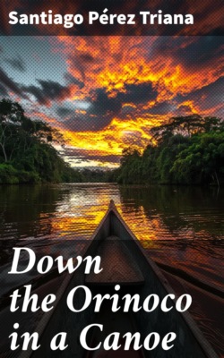 Down the Orinoco in a Canoe