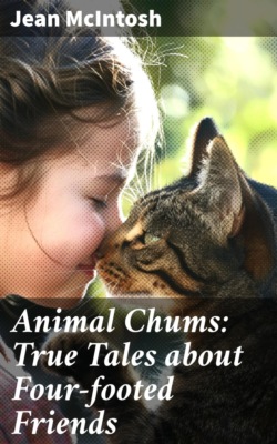 Animal Chums: True Tales about Four-footed Friends