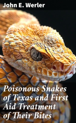 Poisonous Snakes of Texas and First Aid Treatment of Their Bites