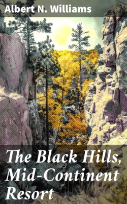 The Black Hills, Mid-Continent Resort