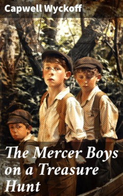 The Mercer Boys on a Treasure Hunt