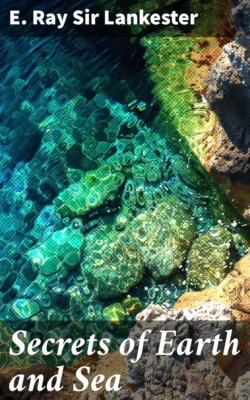 Secrets of Earth and Sea