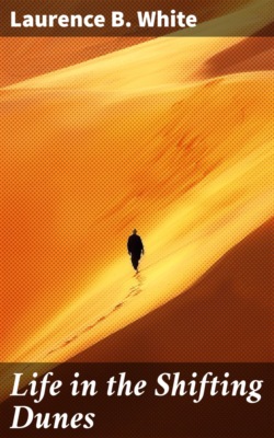 Life in the Shifting Dunes