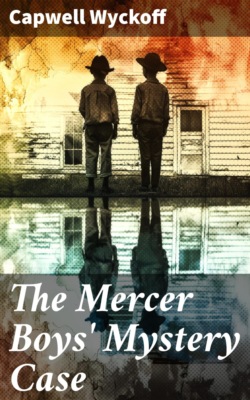 The Mercer Boys' Mystery Case