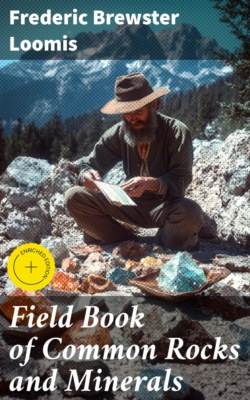Field Book of Common Rocks and Minerals