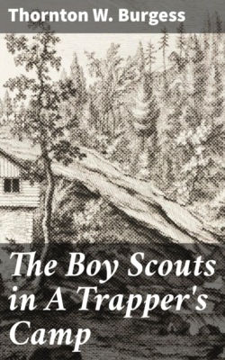 The Boy Scouts in A Trapper's Camp