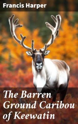The Barren Ground Caribou of Keewatin