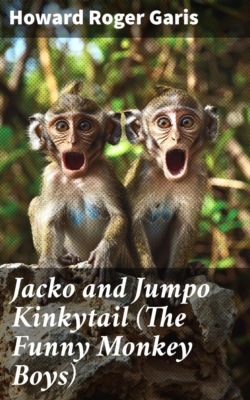 Jacko and Jumpo Kinkytail (The Funny Monkey Boys)