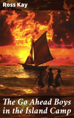 The Go Ahead Boys in the Island Camp