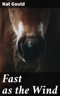 Fast as the Wind