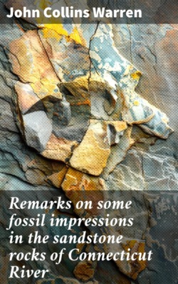 Remarks on some fossil impressions in the sandstone rocks of Connecticut River