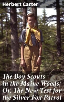 The Boy Scouts in the Maine Woods; Or, The New Test for the Silver Fox Patrol