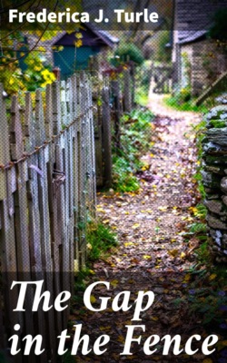 The Gap in the Fence