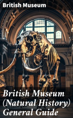 British Museum (Natural History) General Guide