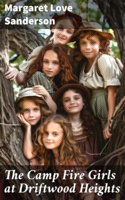 The Camp Fire Girls at Driftwood Heights