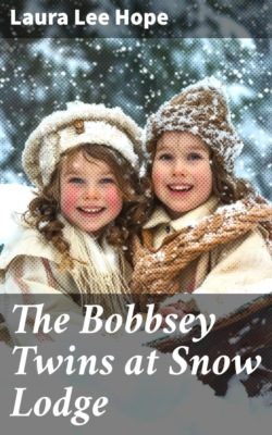 The Bobbsey Twins at Snow Lodge