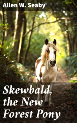 Skewbald, the New Forest Pony