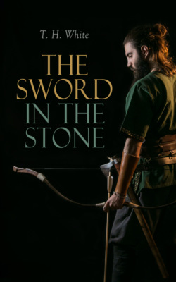 The Sword in the Stone