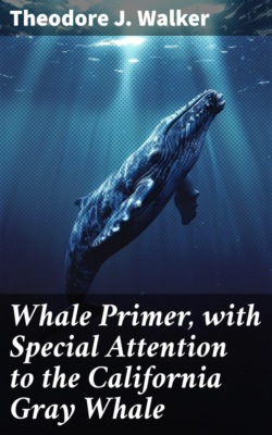 Whale Primer, with Special Attention to the California Gray Whale