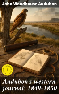 Audubon's western journal: 1849-1850