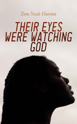 Their Eyes Were Watching God