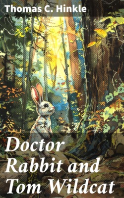 Doctor Rabbit and Tom Wildcat