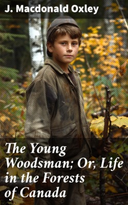 The Young Woodsman; Or, Life in the Forests of Canada
